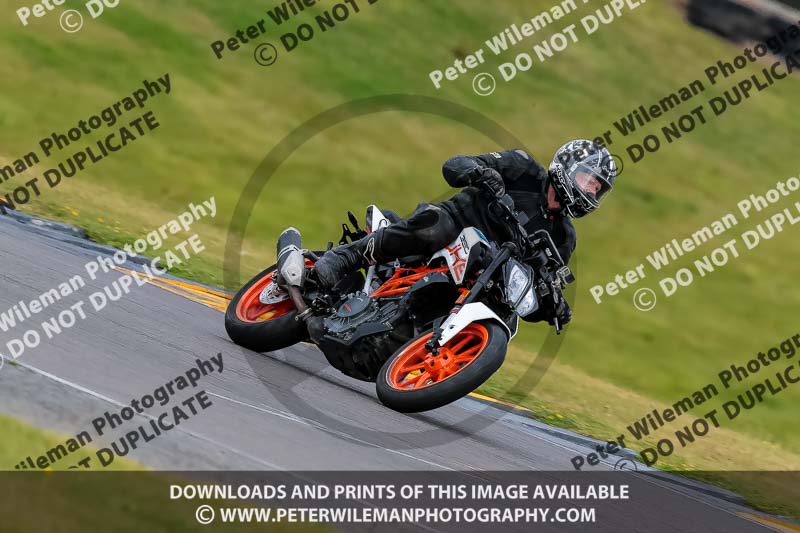 PJ Motorsport 2019;anglesey no limits trackday;anglesey photographs;anglesey trackday photographs;enduro digital images;event digital images;eventdigitalimages;no limits trackdays;peter wileman photography;racing digital images;trac mon;trackday digital images;trackday photos;ty croes